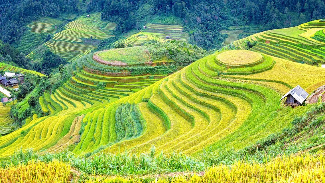 Northwest Vietnam Itinerary 10 Days